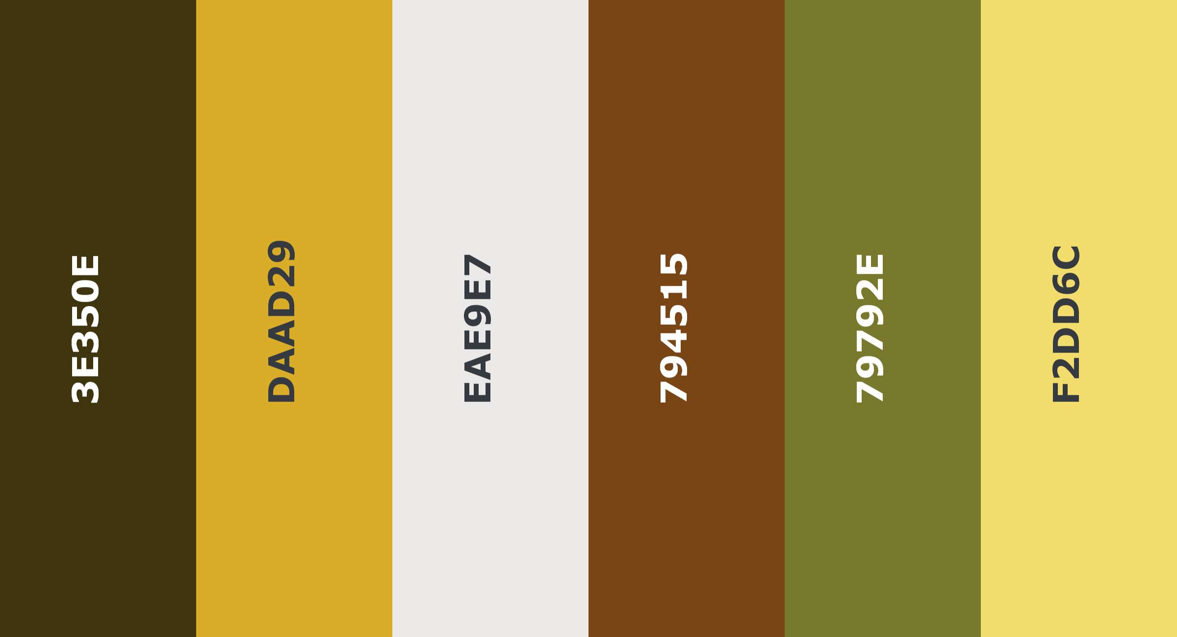Color palette from image