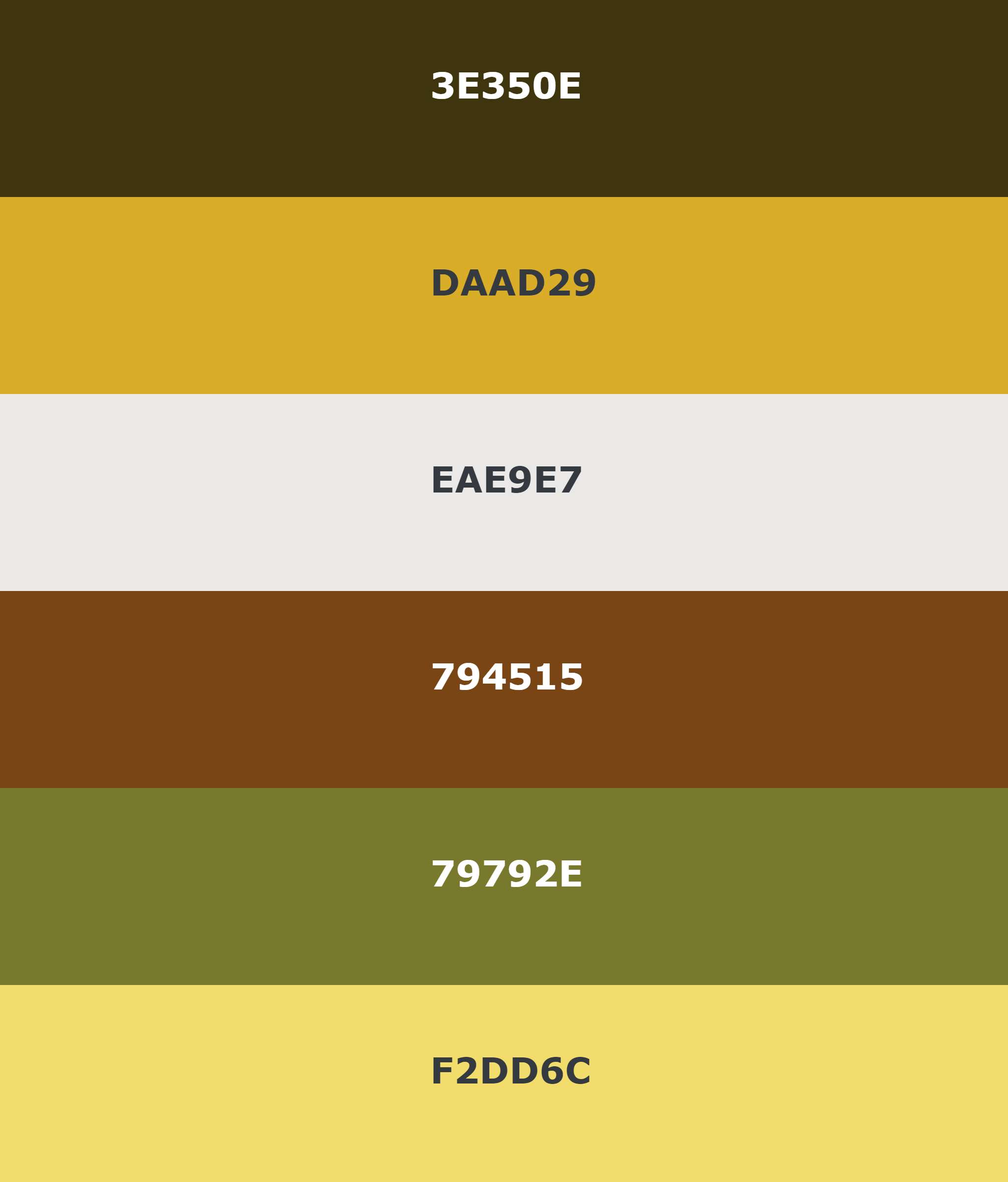 Color palette from image
